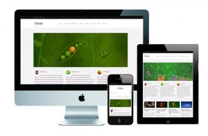 Responsive Website Design Template