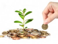 Automattic Raises Investments