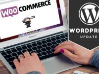 WordPress WooCommerce v3 Update