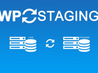 WP Staging Plugin