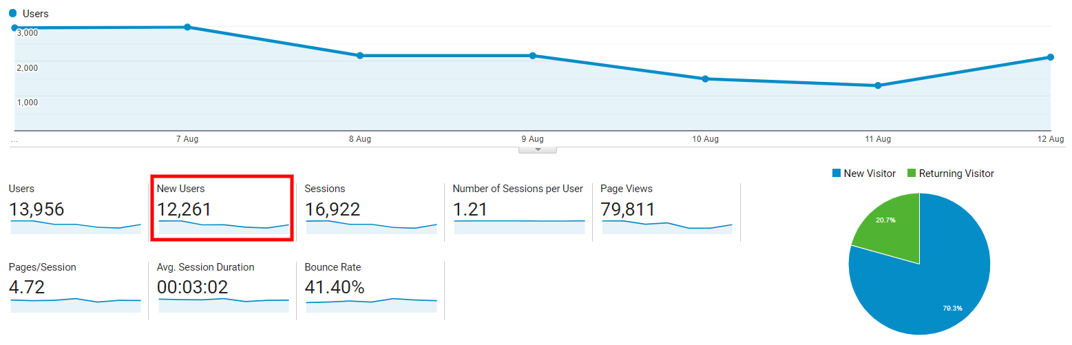 Data view of new users in Google Analytics