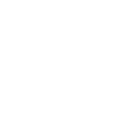 The Vineyard