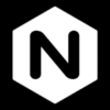 Nginx logo