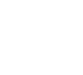 Shopify Logo