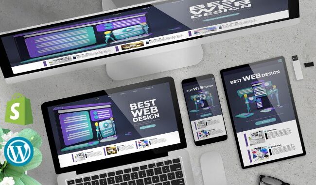 Website development